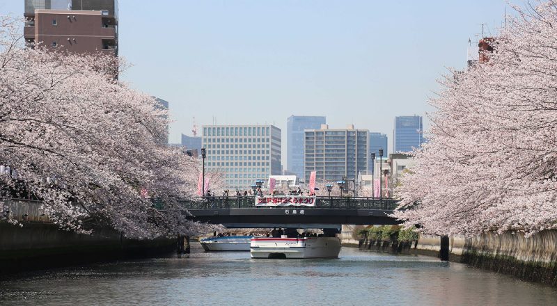 【4日間限定！】お花見クルーズ+宿泊セットプラン （日本橋のお土産付）